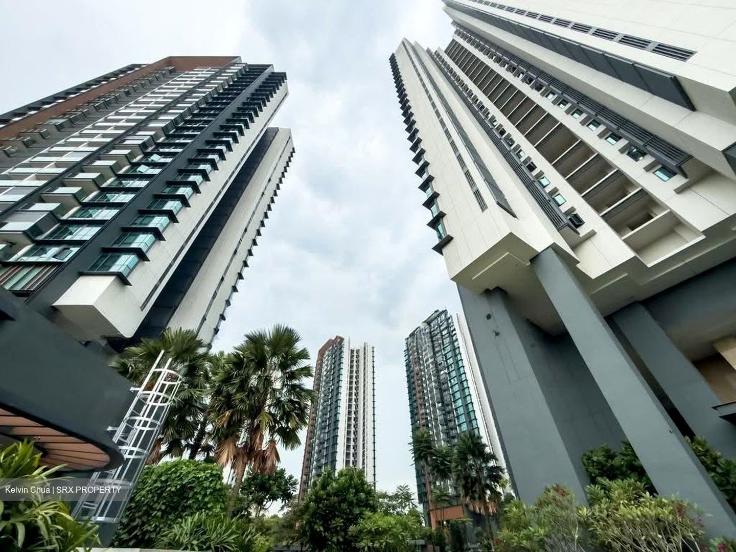 Normanton Park (D5), Apartment #609190861